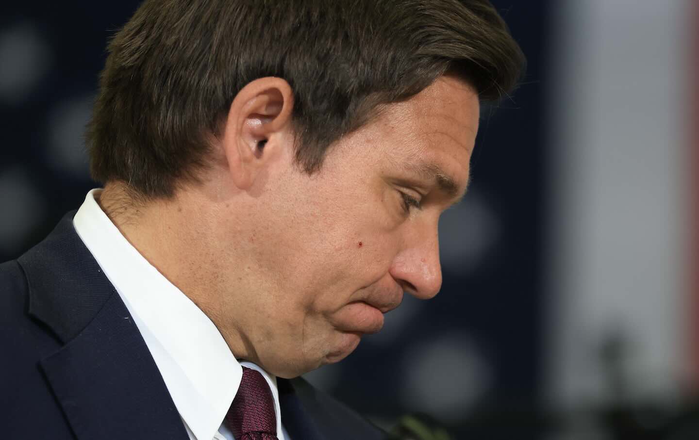 Navaimingas „aligatoriaus Auschwitzo“ sadizmas “